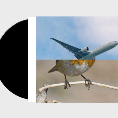 Anthony Burrill, Erik Kessels and Malcolm Goldie, Birds
